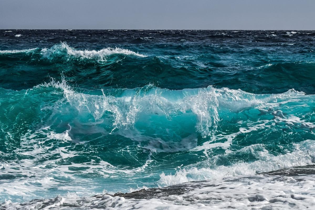 Snorkel tussen kleurrijke vissen bij Boca Catalina